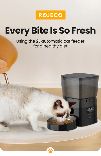 Automatic Cat Food Dispenser