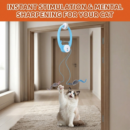 Prevent your cat from depression and under stimulation