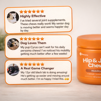 Protect your pet from joint pain and mobility issues