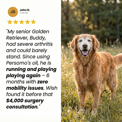 Protect your pet from joint pain and mobility issues