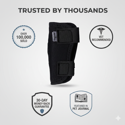 Pet Joint Support Brace