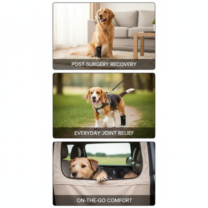 Pet Joint Support Brace